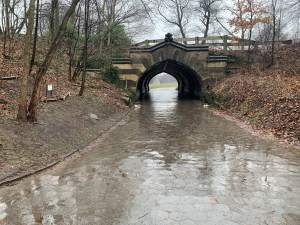 One of the tunnels in Prospect Park